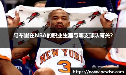 马布里在NBA的职业生涯与哪支球队有关？